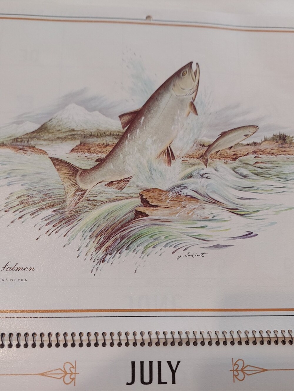 Vntg 1986 Wildlife Collection Callender, James Lockhart-Artist & Conservationist - Picture 12 of 16